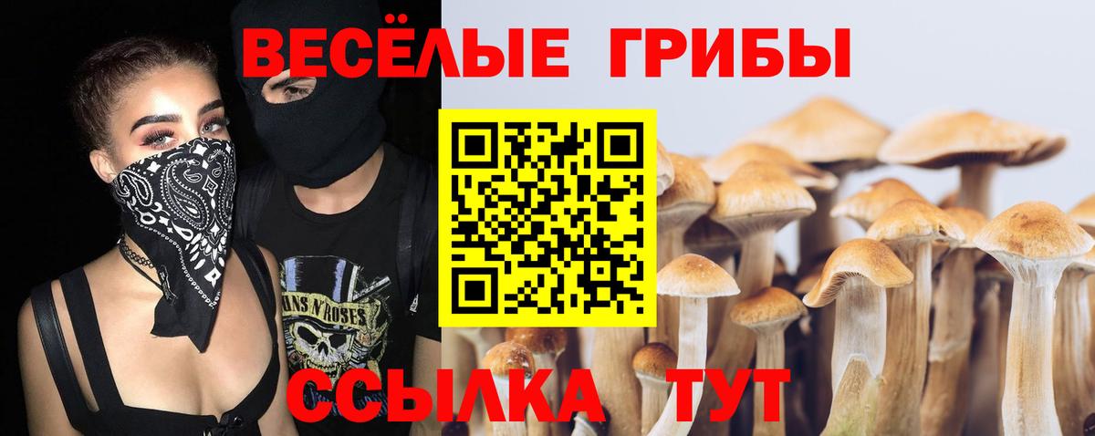 Галлюциногенные грибы мицелий  Вход с VPN  как найти   Галлюциногенные грибы прущие грибы  Первоуральск 